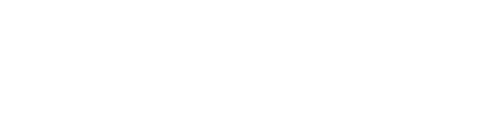 Logo Dmaster